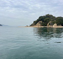 #無人島サバイバル！