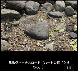 #ビーナスロード周遊