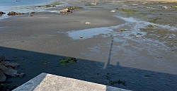 香川県小豆島潮干狩り
